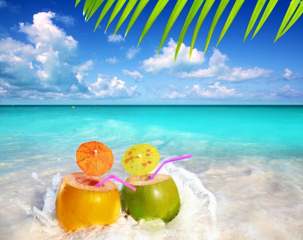 Coconut Cute Beach Wallpaper HD.