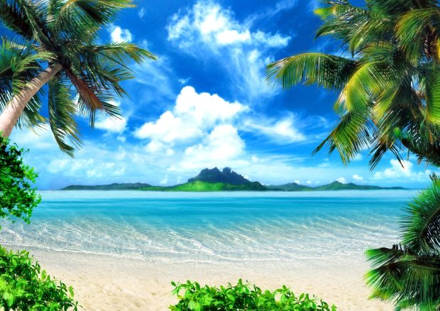 Coconut tree Beach Wallpaper HD.