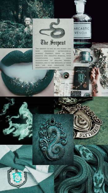 Collage Slytherin Aesthetic Wallpaper HD.