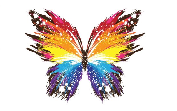 Color Butterflies Wallpaper HD.