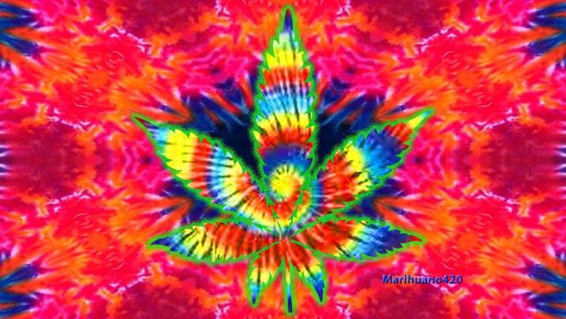 Color Hippie Wallpaper HD.