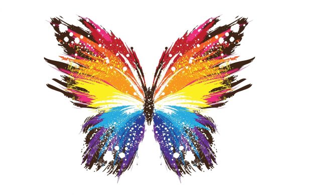 Colorful Butterfly Wallpapers 4K.