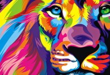 Colorful Desktop Wallpapers 4K Lion.