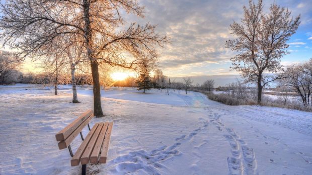 Cool 1366x768 Winter Wallpaper HD.