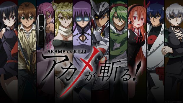 Cool Akame Ga Kill Background.