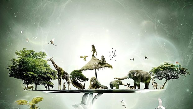 Cool Animal Backgrounds for Mac.