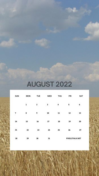 Cool August 2022 Calendar iPhone Background.
