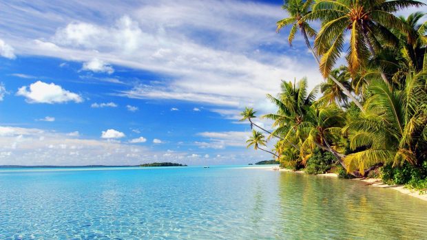 Cool Beach Background.