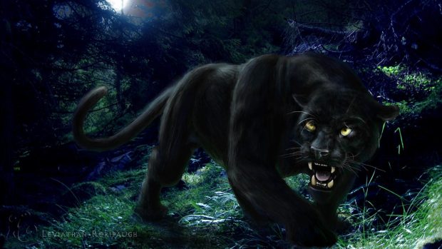 Cool Black Panther Wallpaper for Mac.