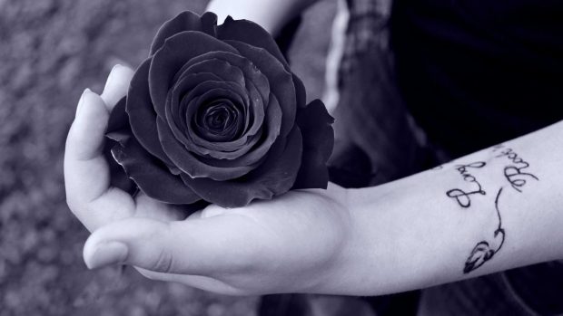 Cool Black Rose Background.