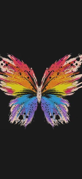 Cool Butterfly Wallpaper.