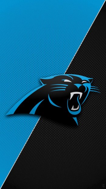 Cool Carolina Panthers Background.