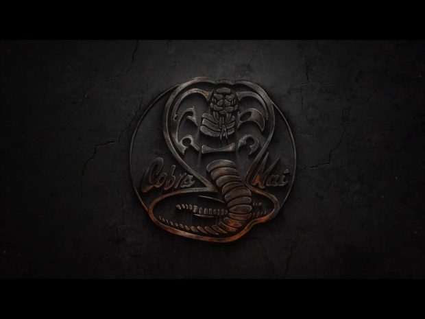 Cool Cobra Kai Background.