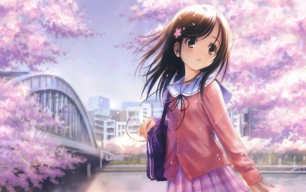 Cool Cute Anime Girl Wallpaper HD Sakura.