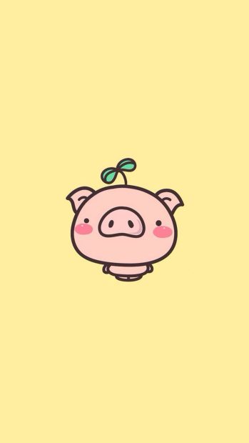 Cool Cute Pig Backgrounds.