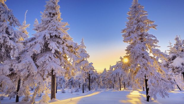 Cool Cute Snow Wallpaper HD.