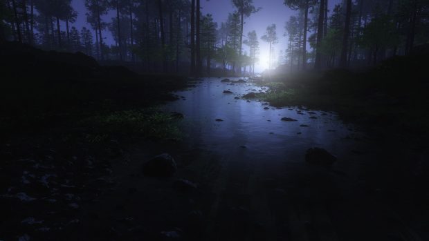 Cool Dark Forest Background.