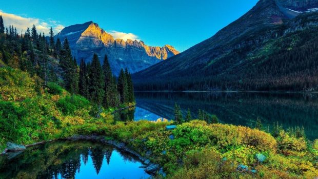 Cool Desktop Pictures Free Download.
