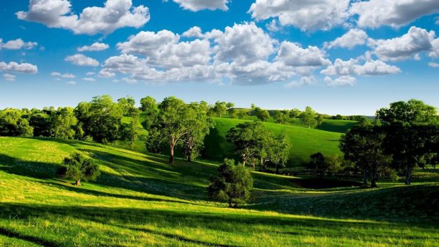 Cool Desktop Wide Screen Wallpapers HD.