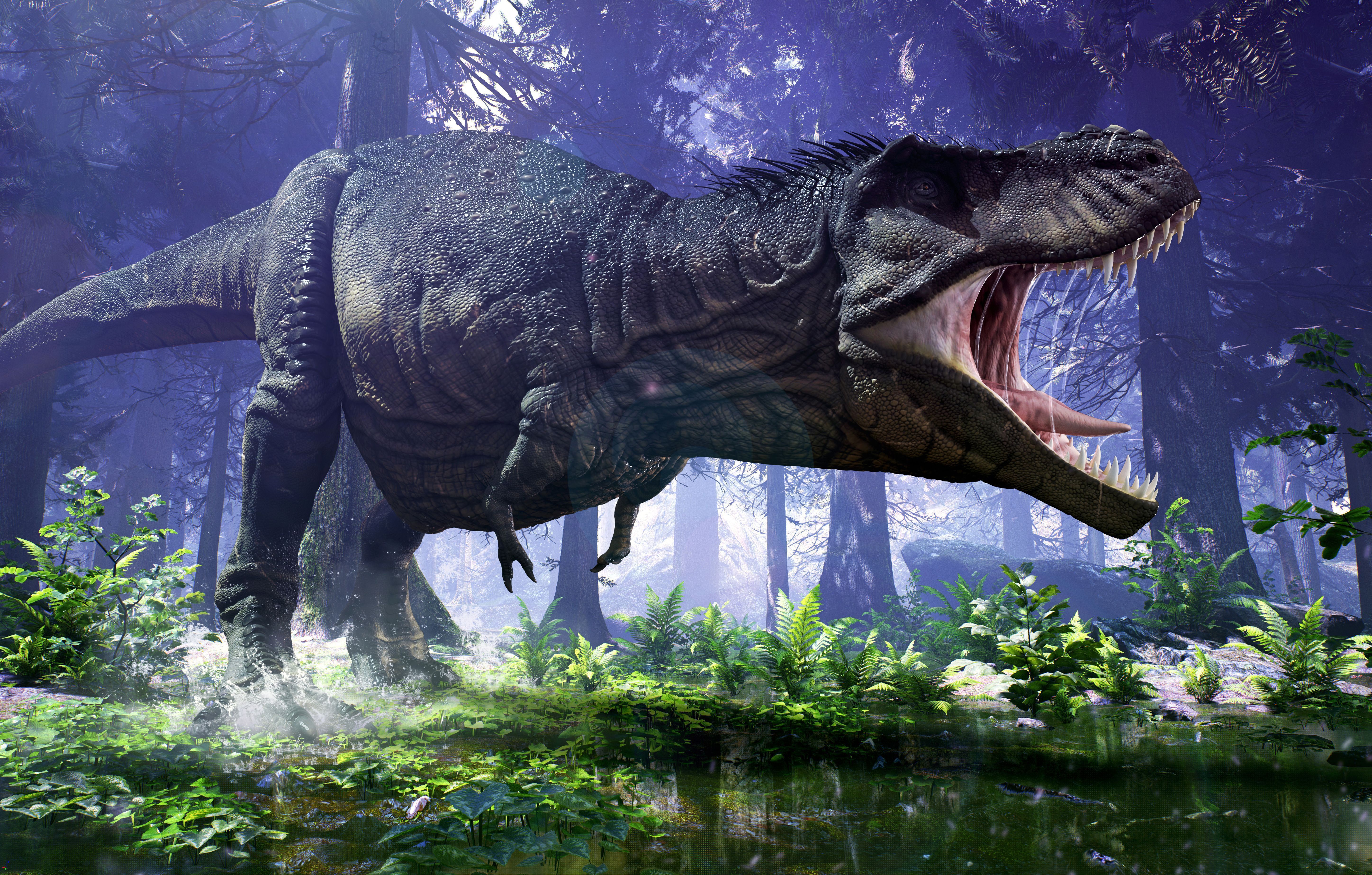 400 Dinosaur Wallpapers  Wallpaperscom