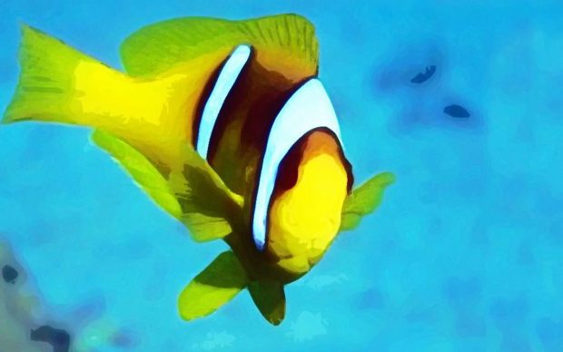 Cool Fish HD Wallpaper.