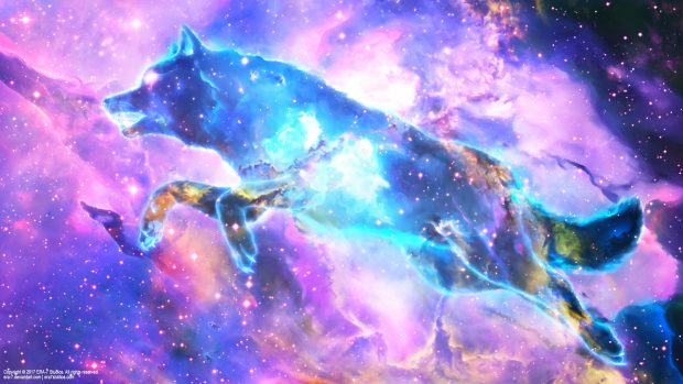 Cool Galaxy Wolf HD Wallpaper.