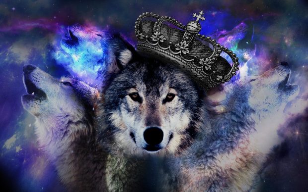 Cool Galaxy Wolf HD Wallpaper Free download.