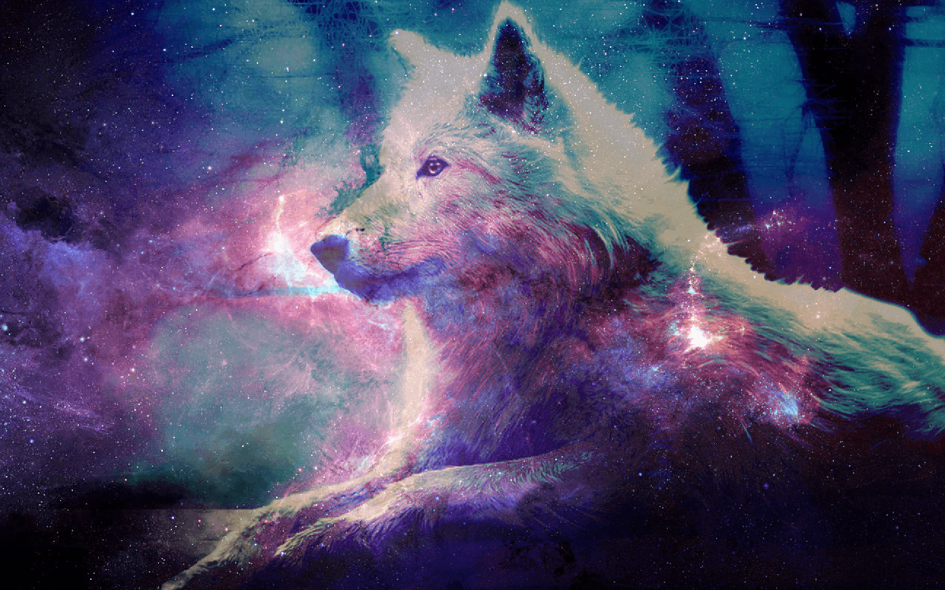 Cool Galaxy Wolf Wallpapers HD 