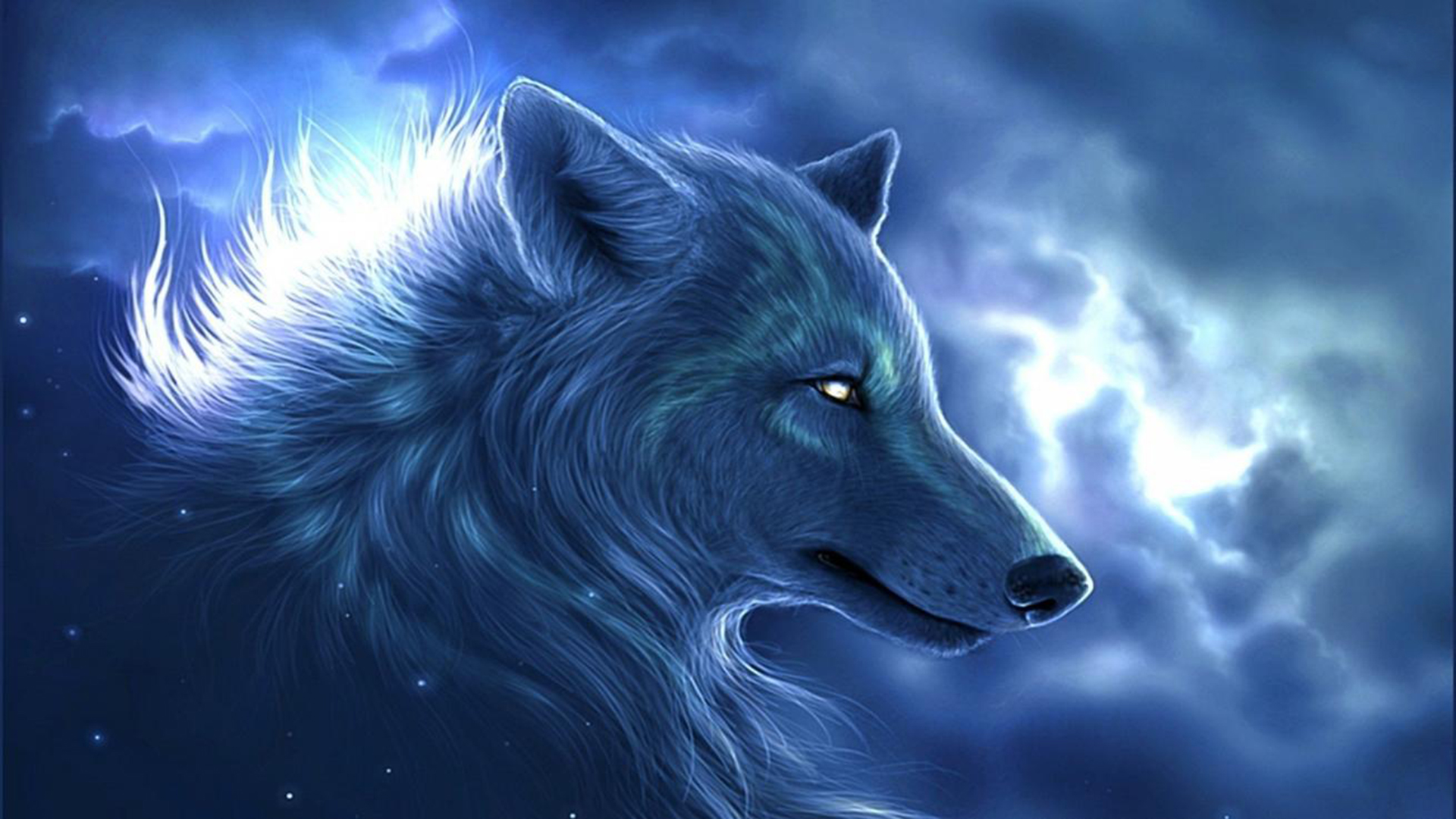 Galaxy wolf wallpaper by Thewolf42  Download on ZEDGE  117c