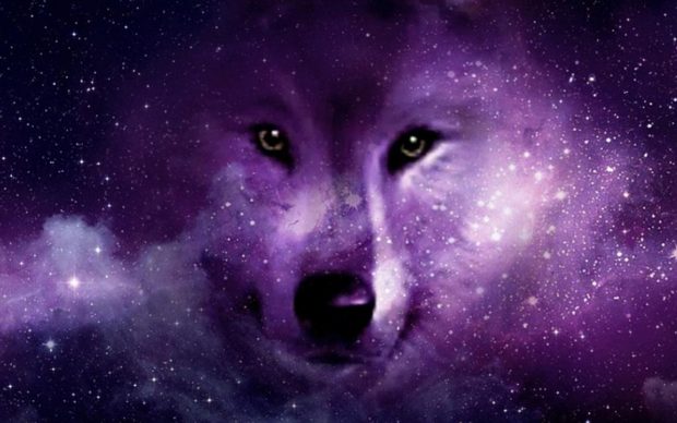 Cool Galaxy Wolf Wallpaper Computer.