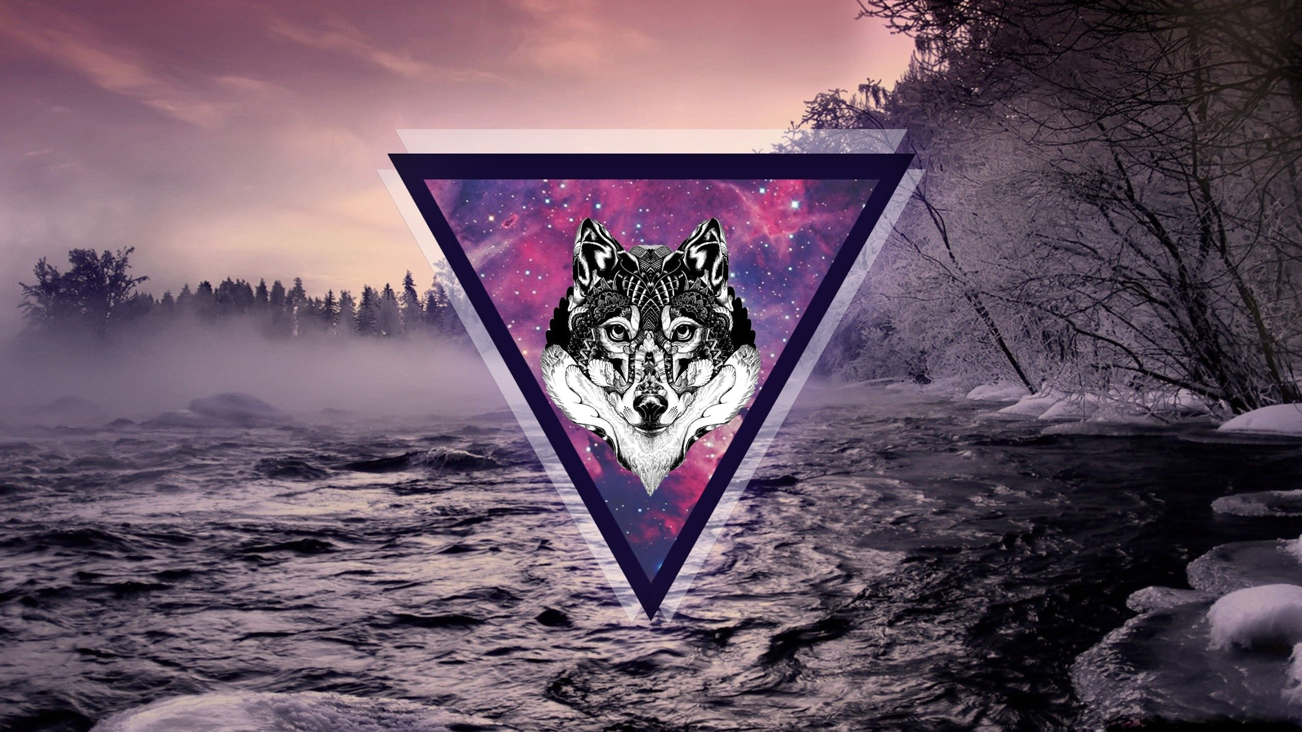 Purple wolf wallpaper by Thegrimreaper8888  Download on ZEDGE  8ac6