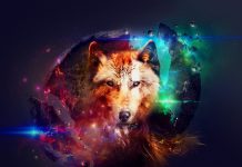 Cool Galaxy Wolf Wallpaper Free Download.