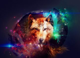 Cool Galaxy Wolf Wallpaper Free Download.