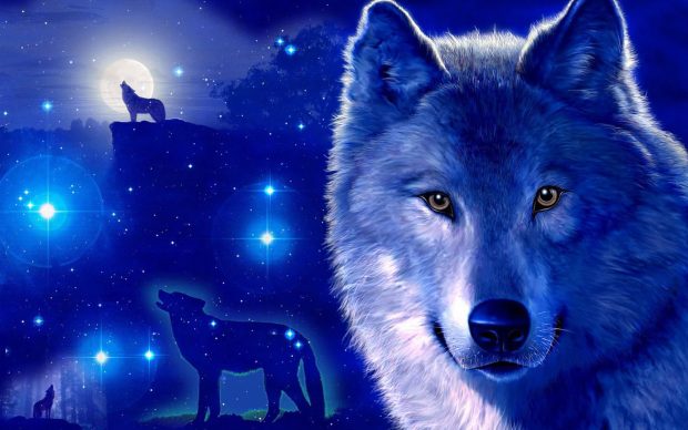 Cool Galaxy Wolf Wallpaper High Quality.