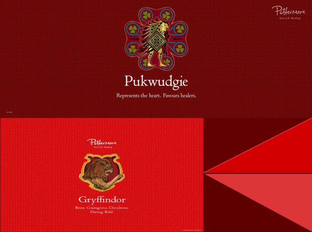 Cool Gryffindor Background.