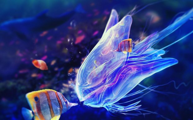 Cool Jellyfish Background.