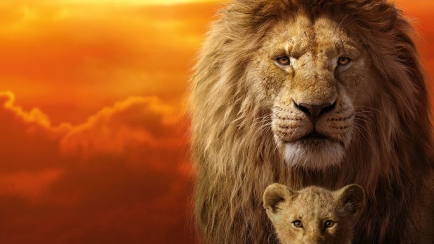 Cool Lion King Wallpaper HD.