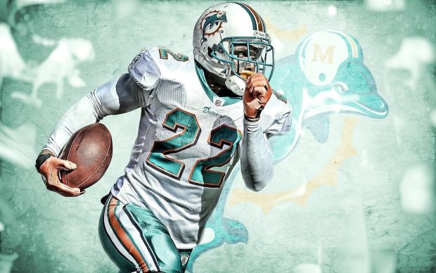 Cool Miami Dolphins Background.