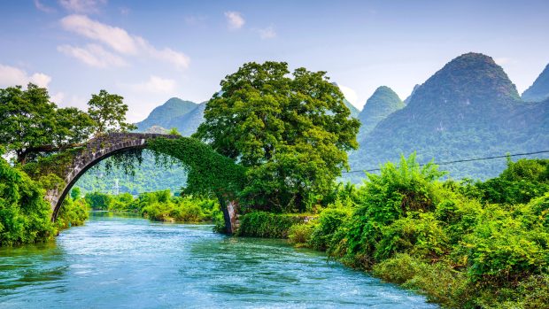 Cool Nature Wallpaper.