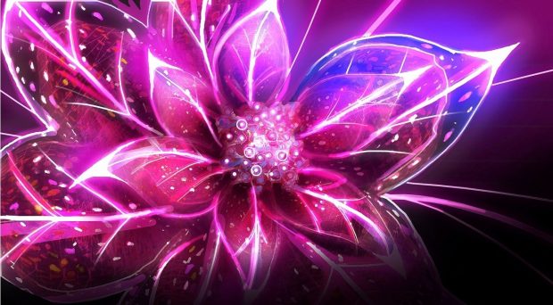 Cool Pink Backgrounds HD Flower.