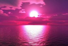 Cool Pink Desktop Backgrounds HD Sunset.