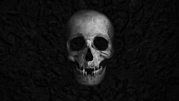 Cool Skulls Wallpaper HD.