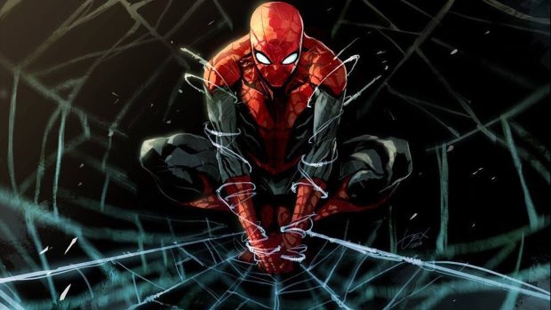 Cool Spiderman Wallpaper Free Download.