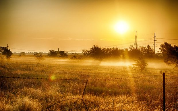 Cool Sunrise Background.