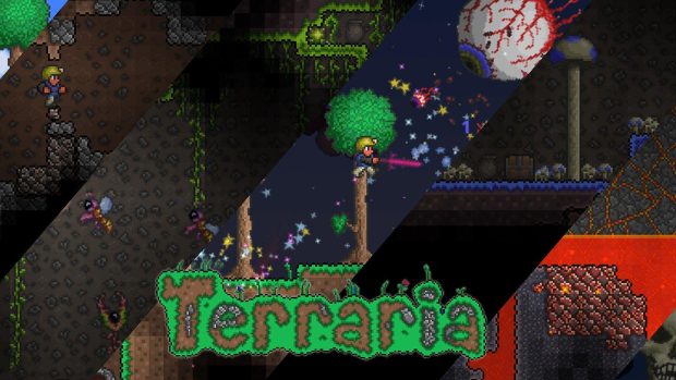 Cool Terraria Background.