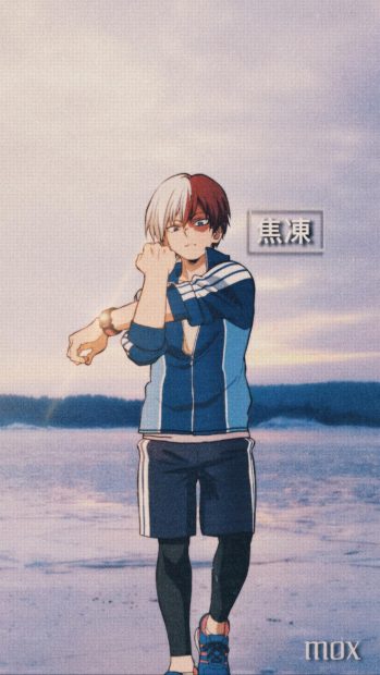 Cool Todoroki Aesthetic Wallpaper HD.