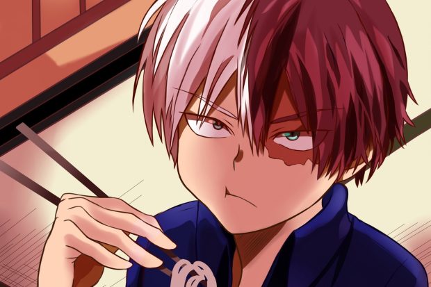 Cool Todoroki Wallpaper for PC.