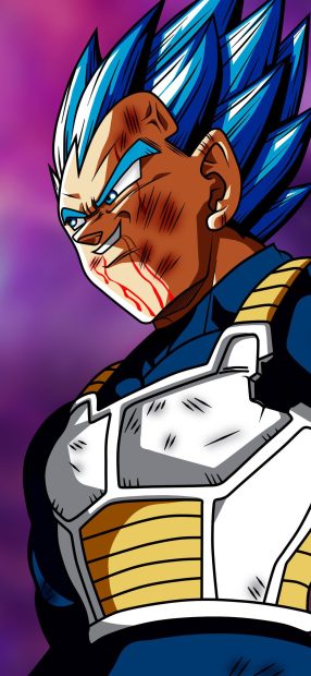 Cool Vegeta Background.