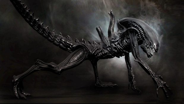 Cool Xenomorph Background.