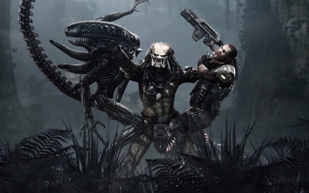 Cool Xenomorph Wallpaper HD.